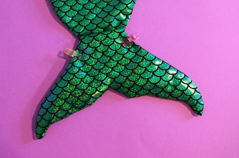 Queue de sirène (15)