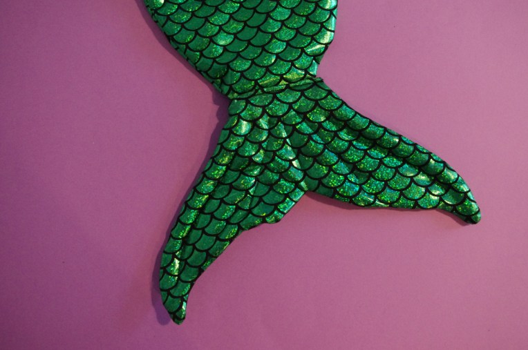 Queue de sirène (16)